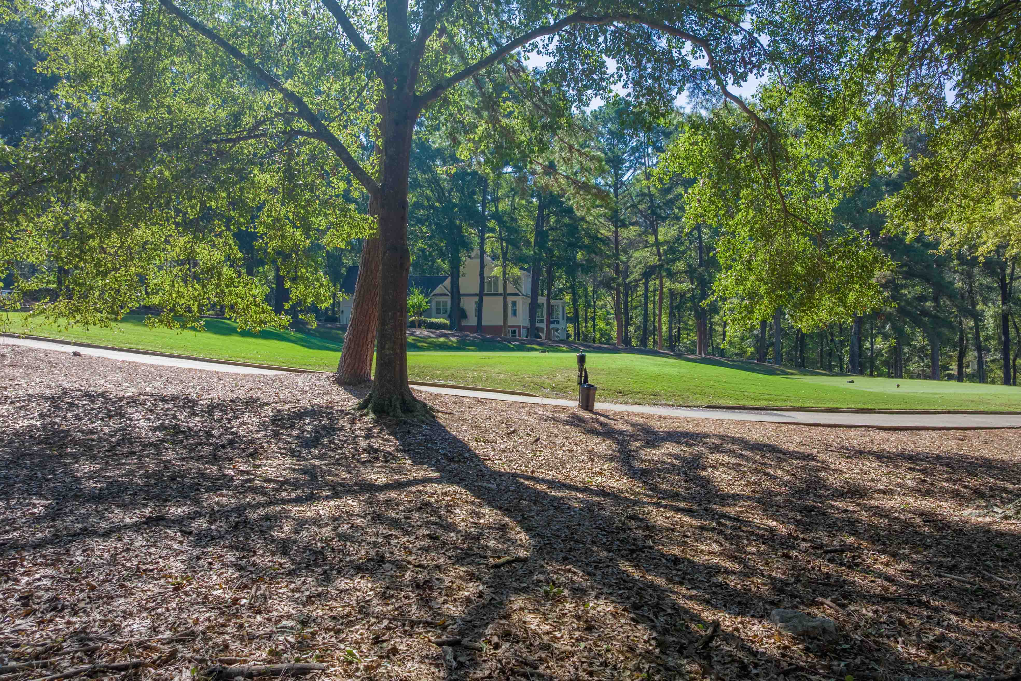 236 Broadlands Drive image 10